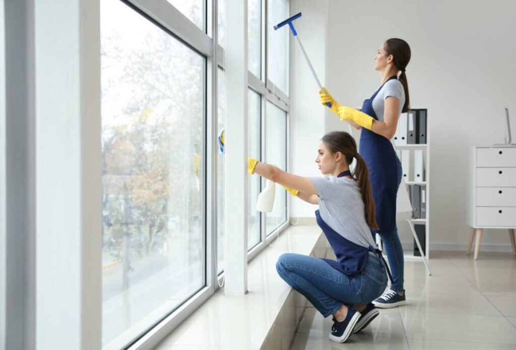 Residential Window Cleaning: A Complete Guide to Brighter, Healthier Homes
